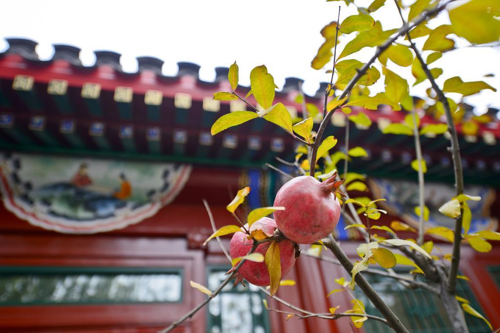 Hotel Cours Et Pavillons Peking Exterior foto